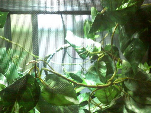 Enclosure #5.jpg