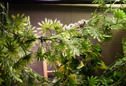 Enclosure2.jpg