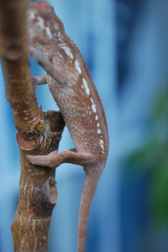 DSC_0277.jpg