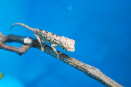 DSC_0266.jpg