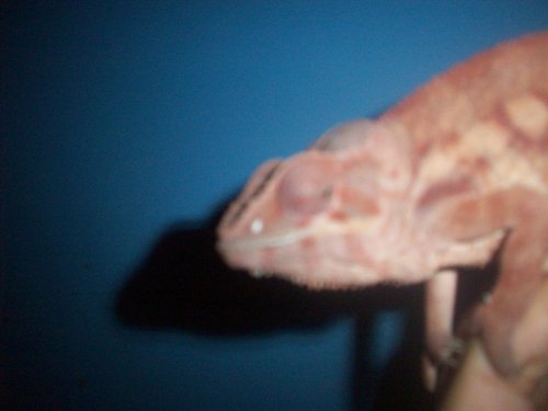 Picture 003.jpg