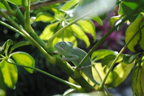 DSC_0002.jpg