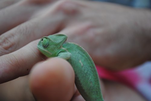 DSC_0029.jpg