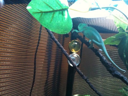 clip_image003.jpg