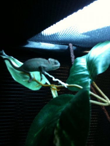 clip_image004.jpg
