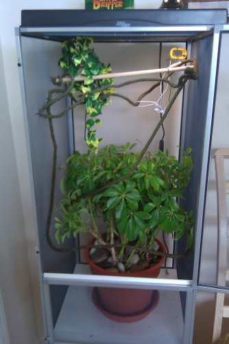 IMAG0028.jpg