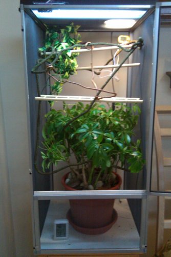 IMAG0029.jpg