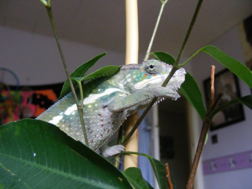 DSCF0914.jpg