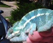 sherlock 6 month.jpg