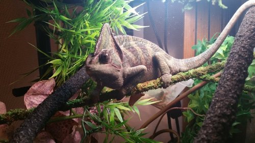20161215_084244.jpg