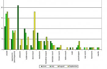 Variety and Quantity Chart, Summer 2009