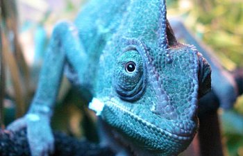 Just a reference for me...