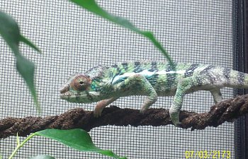 Let the good times roll!