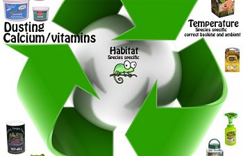 BASIC: Chameleon Cycle of Care & Care Sheet