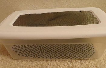 Silk Worm Rearing and Breeding part 1