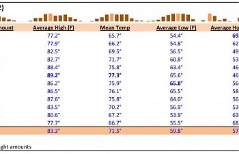 Weather Data - Taiz, Yemen