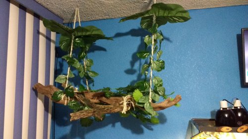 IMG-20170124-WA0002.jpeg