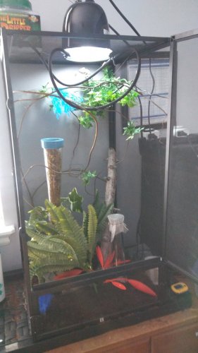 20170130_155636.jpg 20170130_155636.jpg
