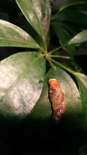20170201_122435.jpg