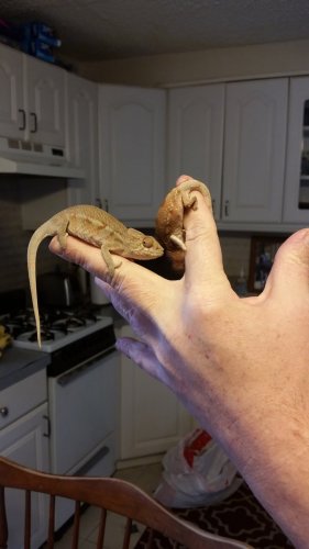 20170129_132557.jpg