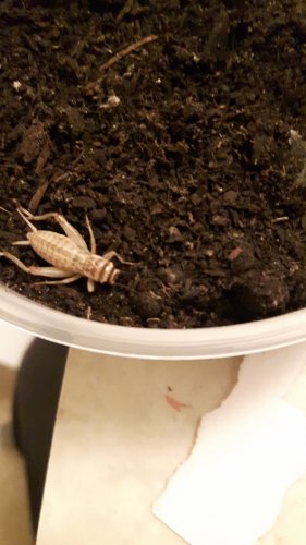 20170207_005038.jpg