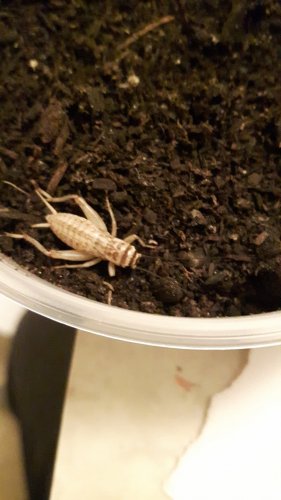 20170207_005043.jpg
