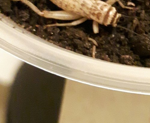 20170207_005043.jpg