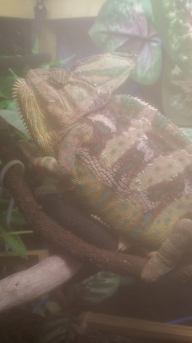 20170207_102302.jpg