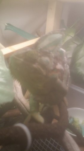 20170207_102350.jpg
