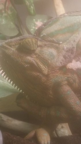 20170207_102453.jpg