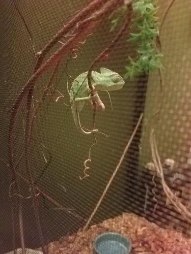 20170207_220206.jpg