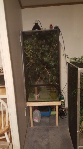 20170212_205305.jpg