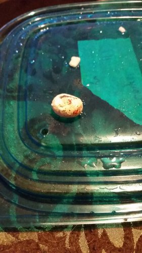 20170217_062756.jpg