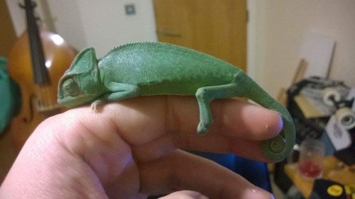 received_10158024529475557 (1).jpeg