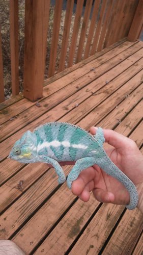 20170221_133920.jpg