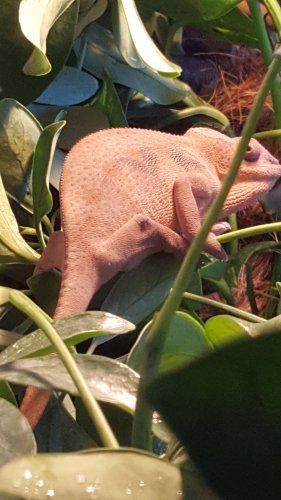 20170225_161250.jpg