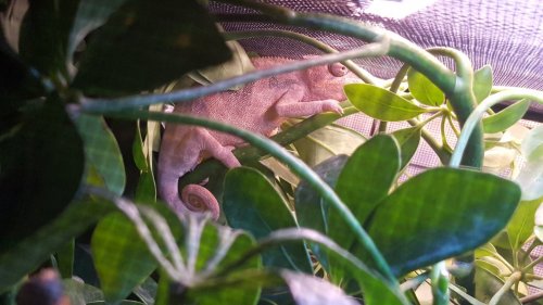 20170222_053929.jpg