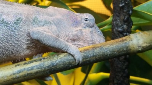 20170222_160459.jpg