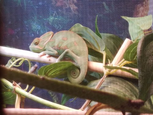 20170301_165718.jpg