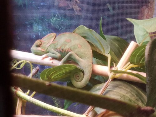 20170301_165719.jpg