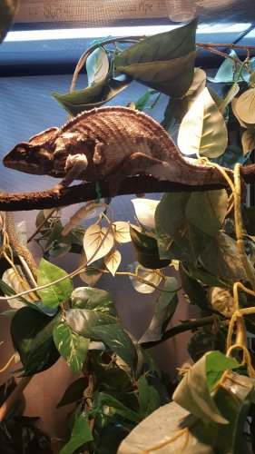 20170225_170401.jpg