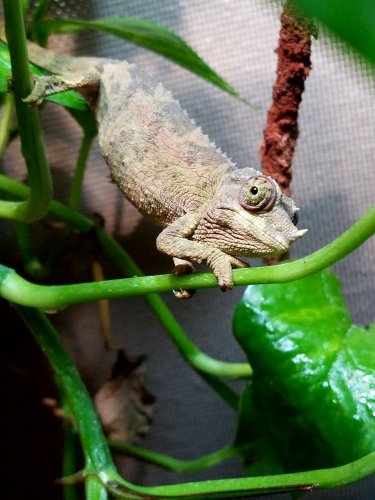 20170216_173426 (1).jpg