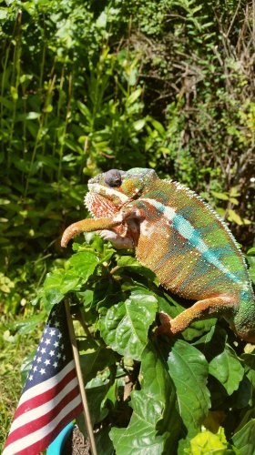 2016-09-25 22.51.10.jpg