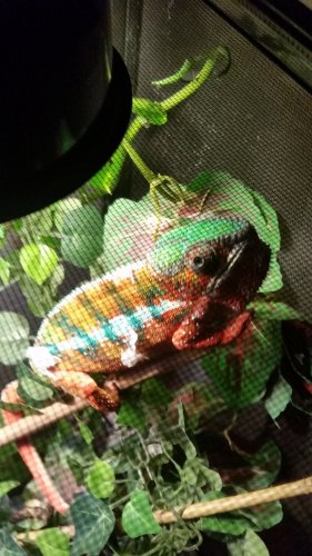 20160913_171147.jpg