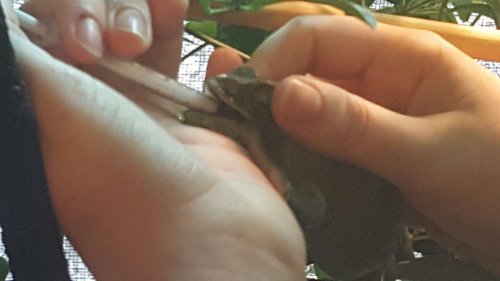 hope medication 3.jpg