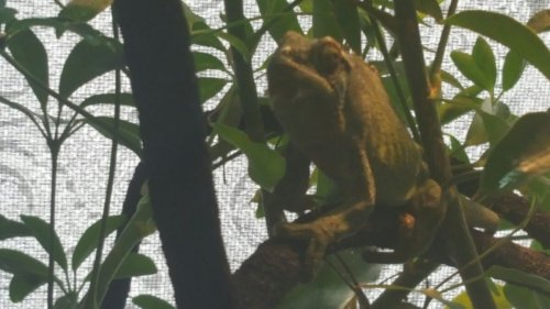 hope medication 5.jpg