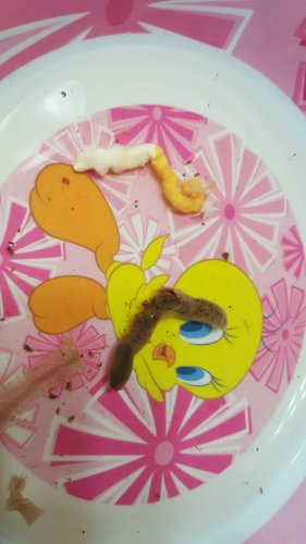20170315_112816.jpg