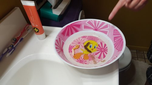 20170315_112824.jpg