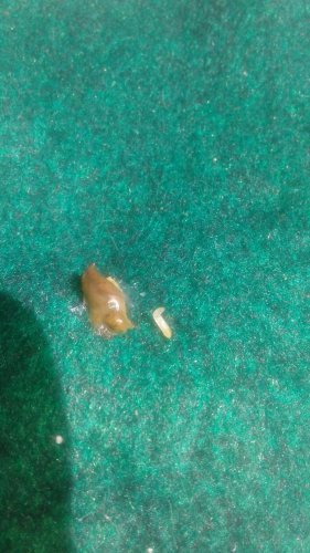 20170319_131345.jpg