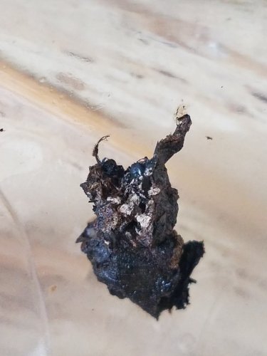 20170320_103751.jpg
